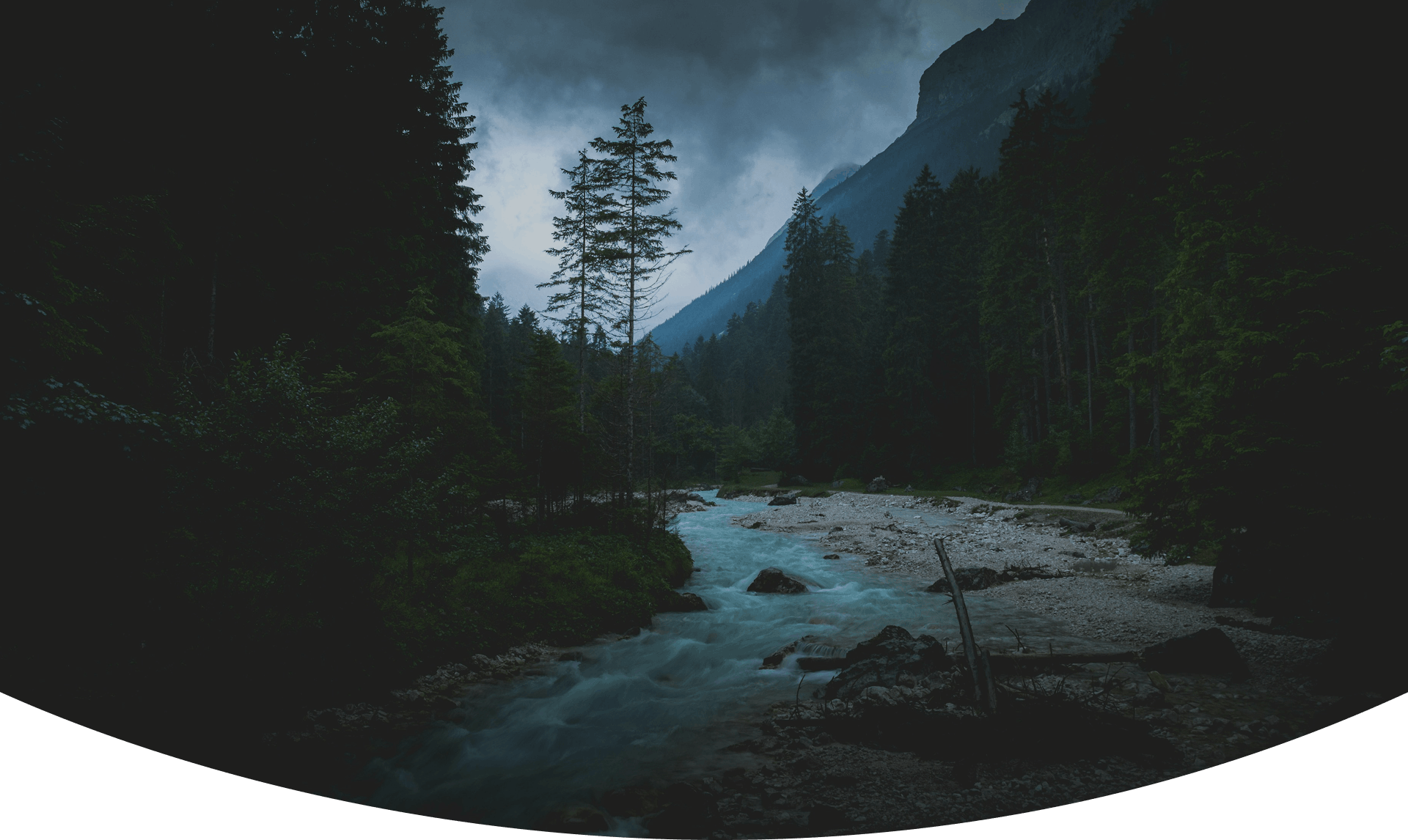 Lens and Light Media Services Page Background